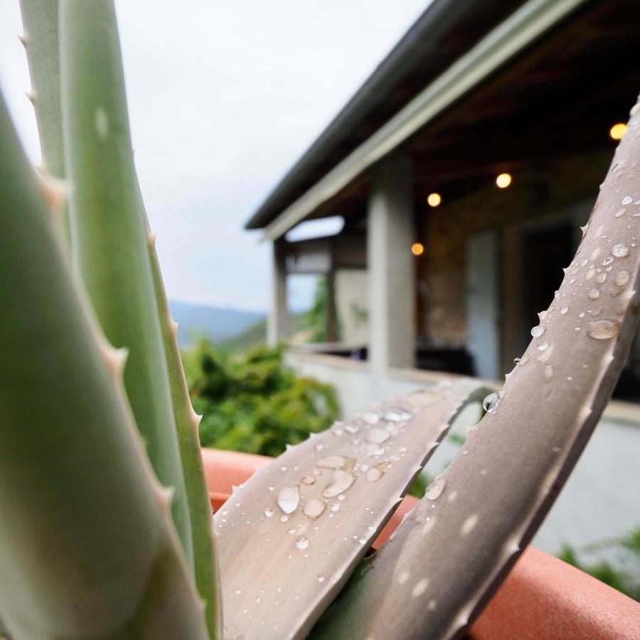 L'Evidence Bed & Breakfast Prades  Exterior photo