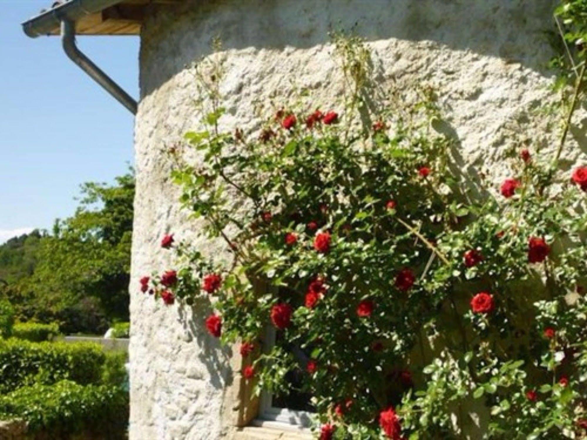 L'Evidence Bed & Breakfast Prades  Exterior photo